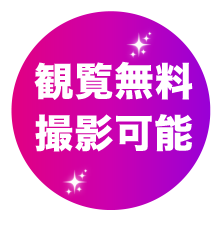 観覧無料、撮影可能
